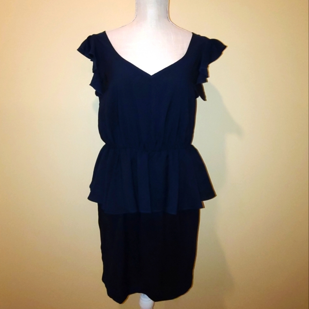 NWT Work Dress